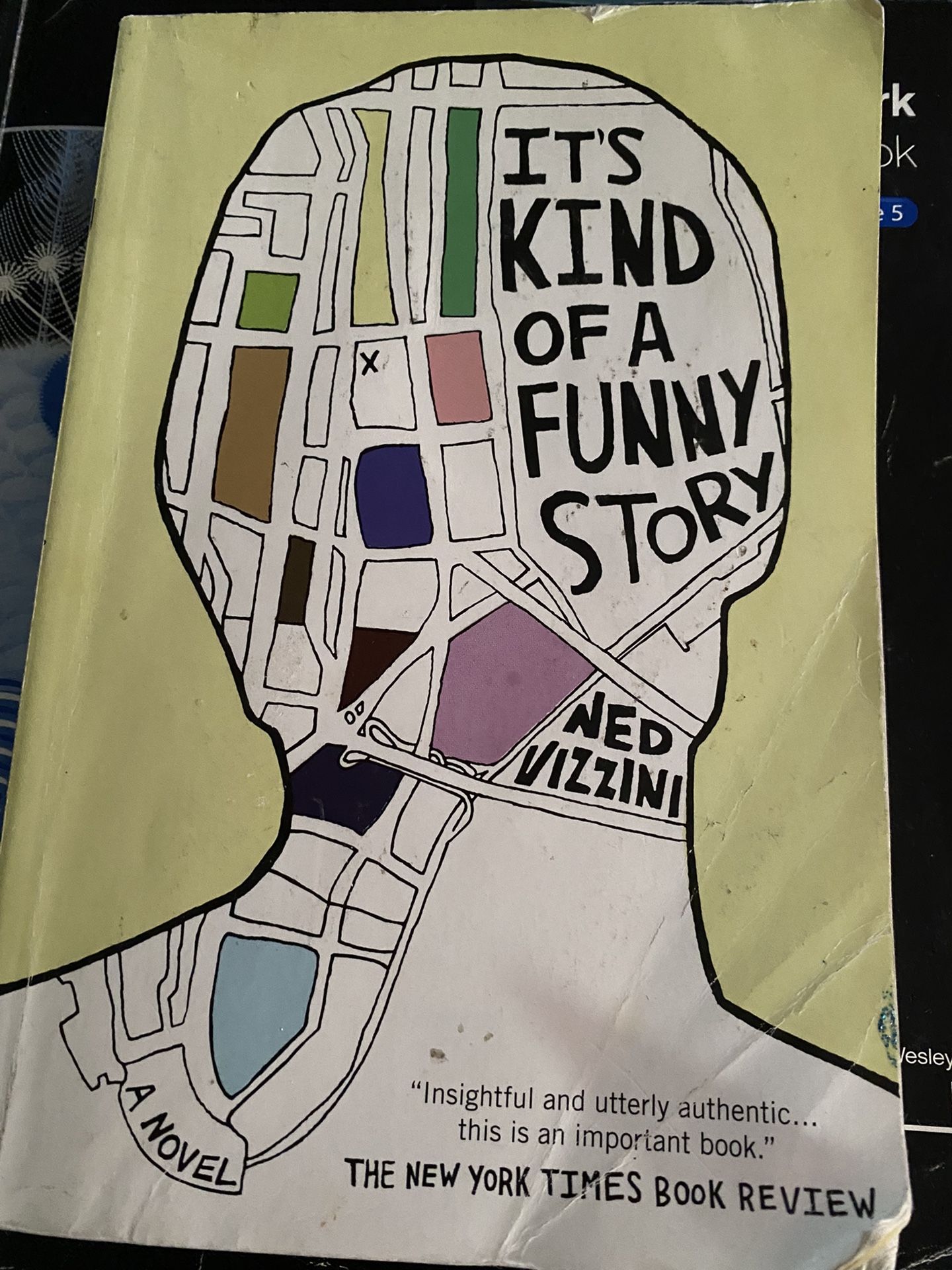 It’s kind Of A Funny Story Book