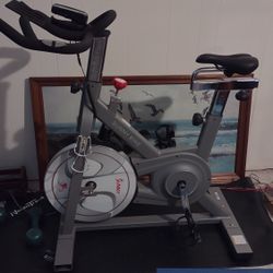 Sturdy Sunny Magnetic Resistance Bike 