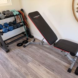 Workout Bench, Weight Rack And Dumbbell set