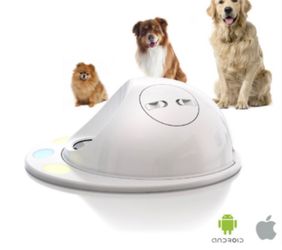 CleverPet Hub - Smart Dog Puzzle Console (Excellent Condition)