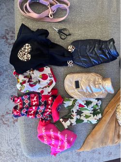 Dog clothes/accessories