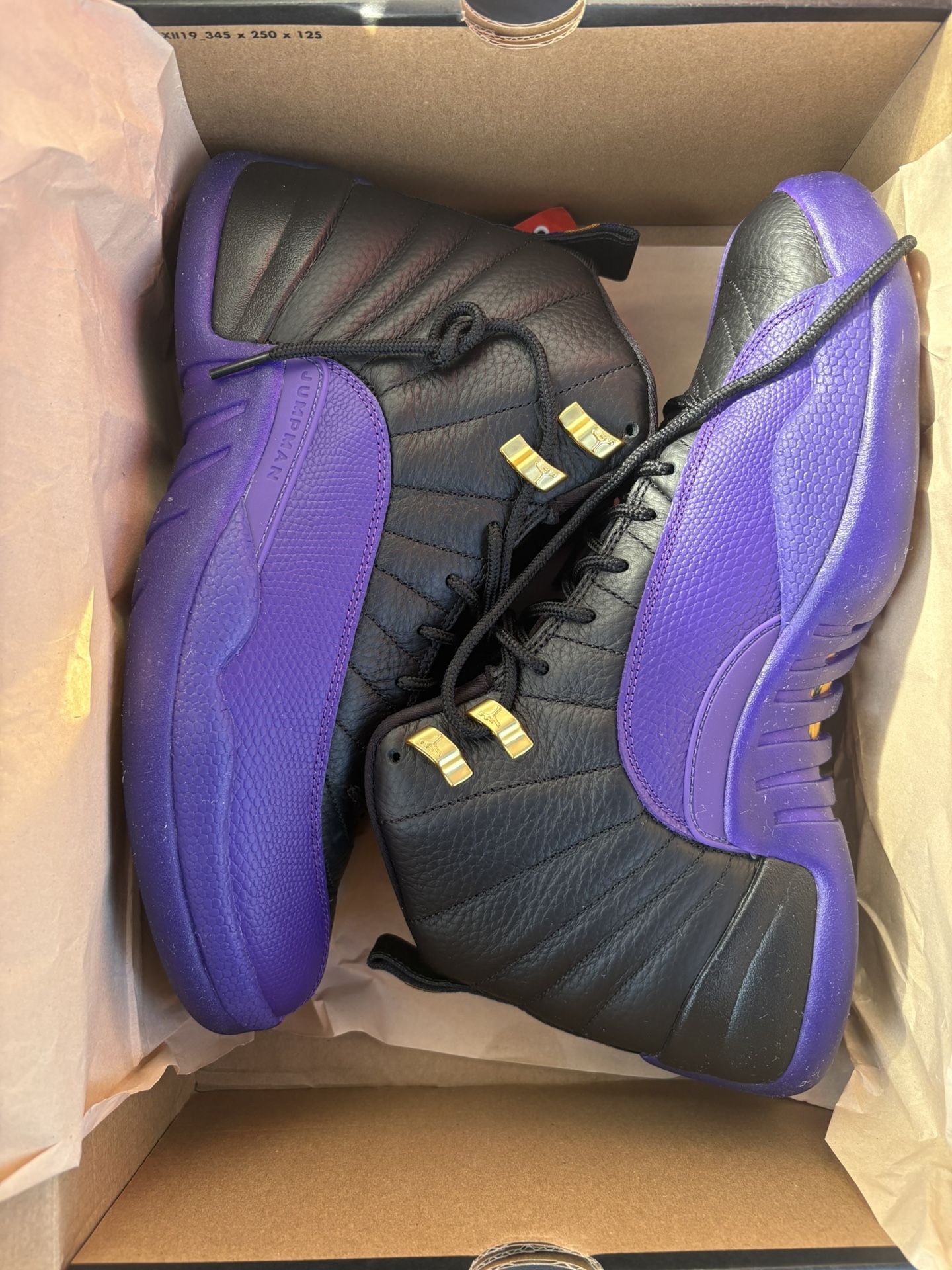 Jordan’s Purple And Black