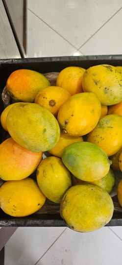 Mangoes