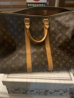 louis vuitton Carry Bag
