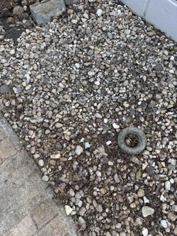 Piedras. Recoger En Doral