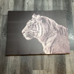 Tiger Portrait/picture