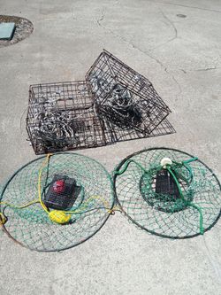 Crab pots / rings