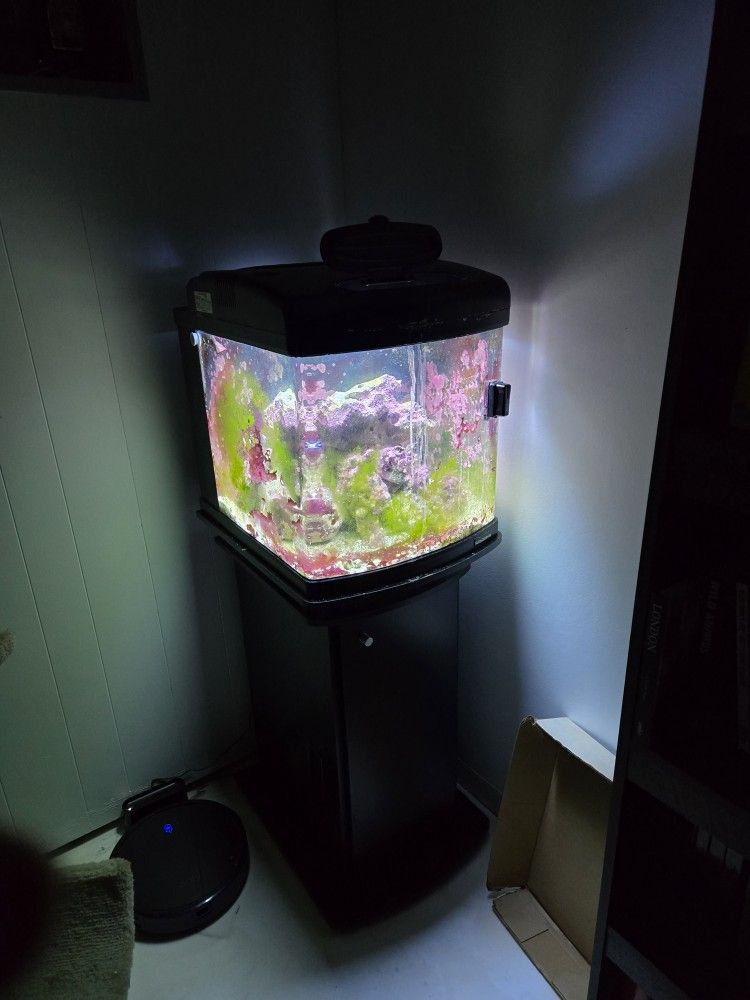 Saltwater Tank