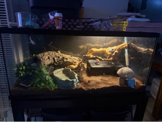 Tank