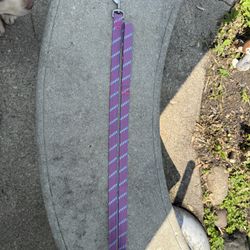 5 Foot Dog Leash