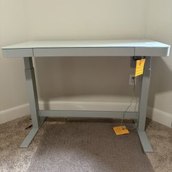 Electric Standing/Sitting Desk