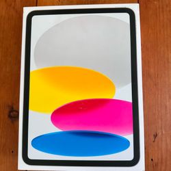 iPad 10th Generation (like New)
