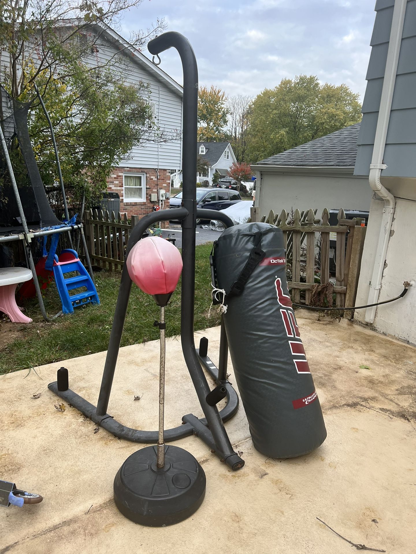 UFC Punching Bag