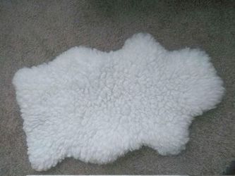 Shag Rug - Decoration / Decorative