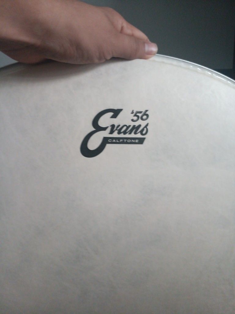 Bass Drum Head