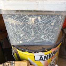 Box Of Roofing Nails 2”
