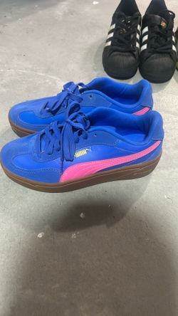 Pumas