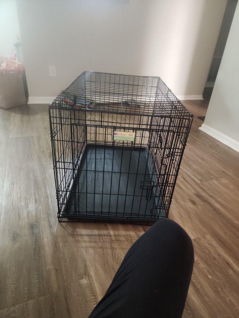 Count our Dogs / Cats Cage 