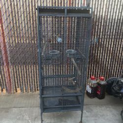 Bird Cage 