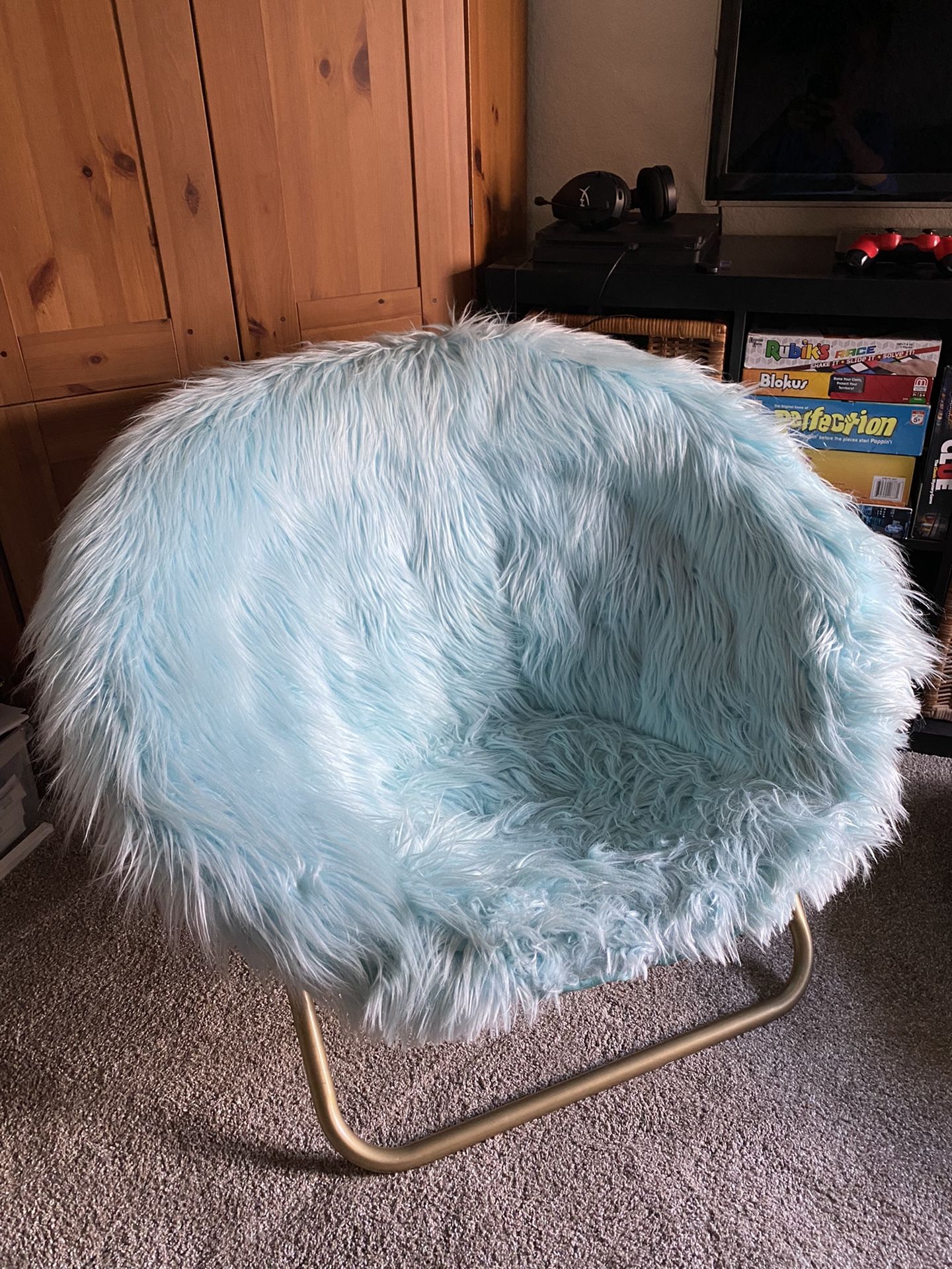 Pottery Barn Teen Hang Around Chair for Sale in San Diego, CA OfferUp