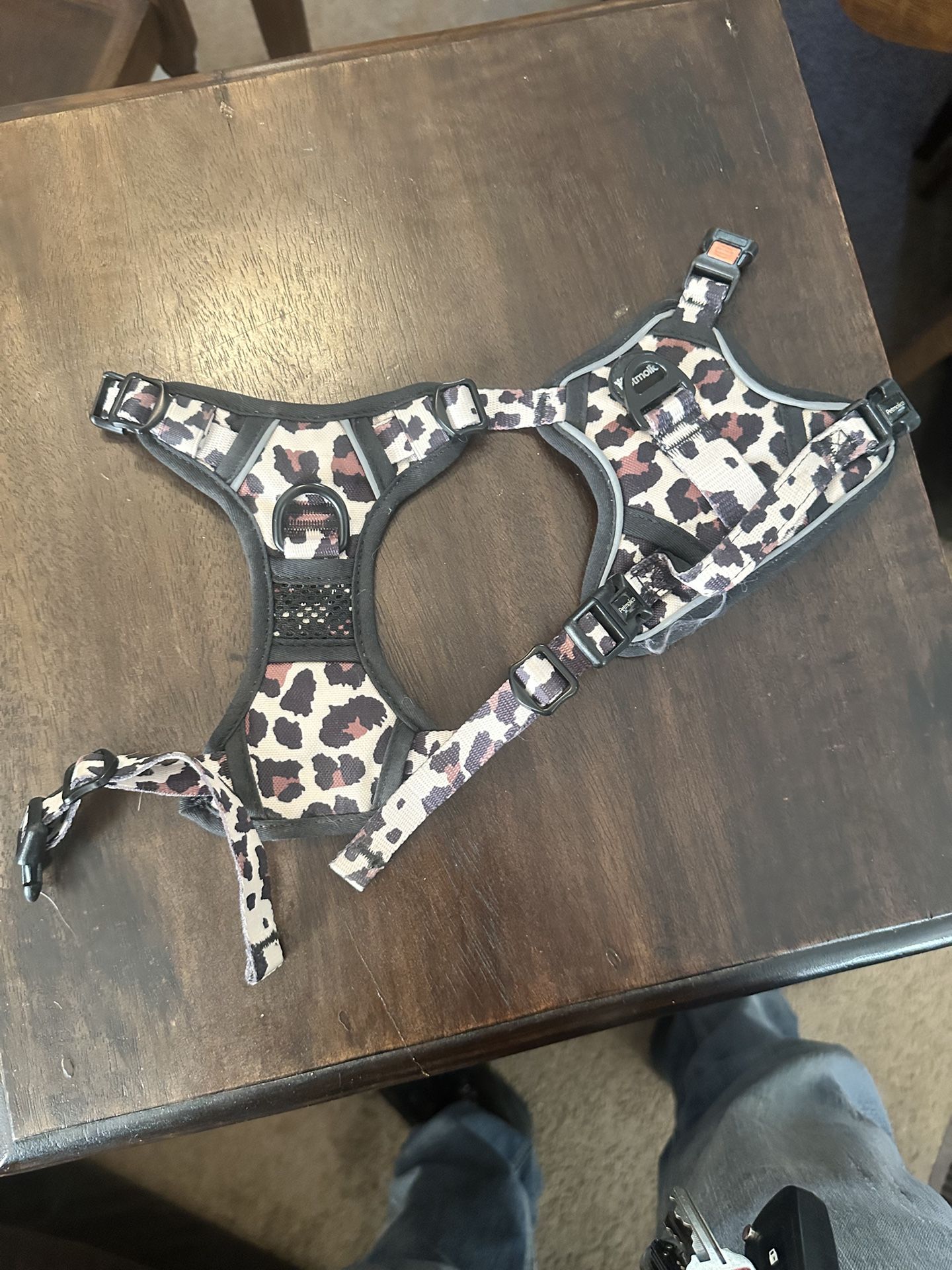 Dog Harness And Hands Free Leash