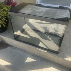 Fish Tank 
