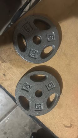 Two Five Pound Weights