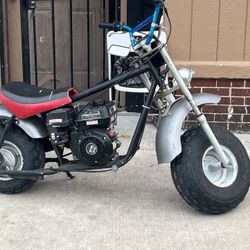 Mini Bike 