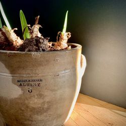 Collectible Dillon And Henry Stoneware Pickle Jar