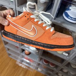 Nike Dunk Low Sb “ Orange Lobster “ Size 10.5 USED 