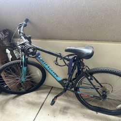 Bike Nishiki