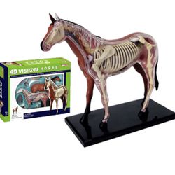 4D Vision Horse Anatomy Model,Horse Skeleton Specimen Model,Detachable 26 Parts Horse Organ Anatomy Model,Horse Intelligence Assembling Toy Anatomy Mo