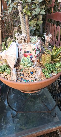 Beautiful arrangement🌵