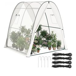 Outsunny 6' x 6' x 6.6' Hoop House Greenhouse with Sandbags and Hemmed PE Cover, Walk-in Tunnel Green House with 2 Doors and Screen Wind=Q5-285