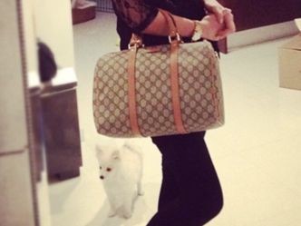 Gucci handbag authentic