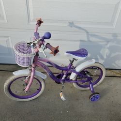 Schwinn twilight 2025