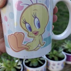 Hens And Chicks In A Cup