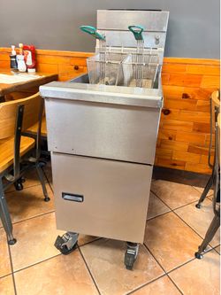 Deep Fryer Commercial Petco