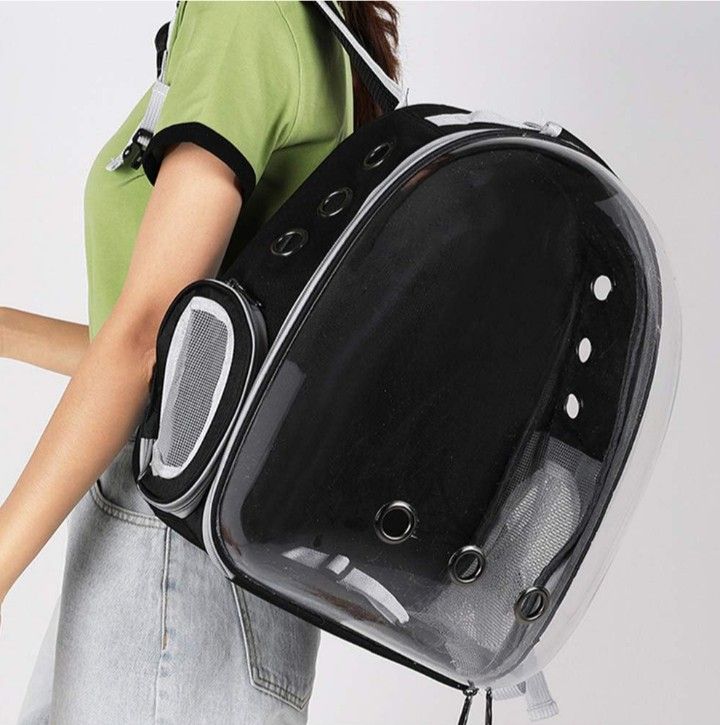 Pet Backpack π