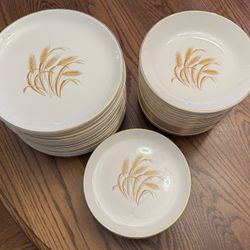 GOLDEN WHEAT China: Homer Laughlin, USA Made, 1950-60s, RARE, Vintage, 50pieces