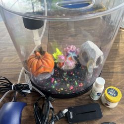 Small Fish Tank 