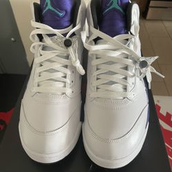Jordan 5 Grape Size 11