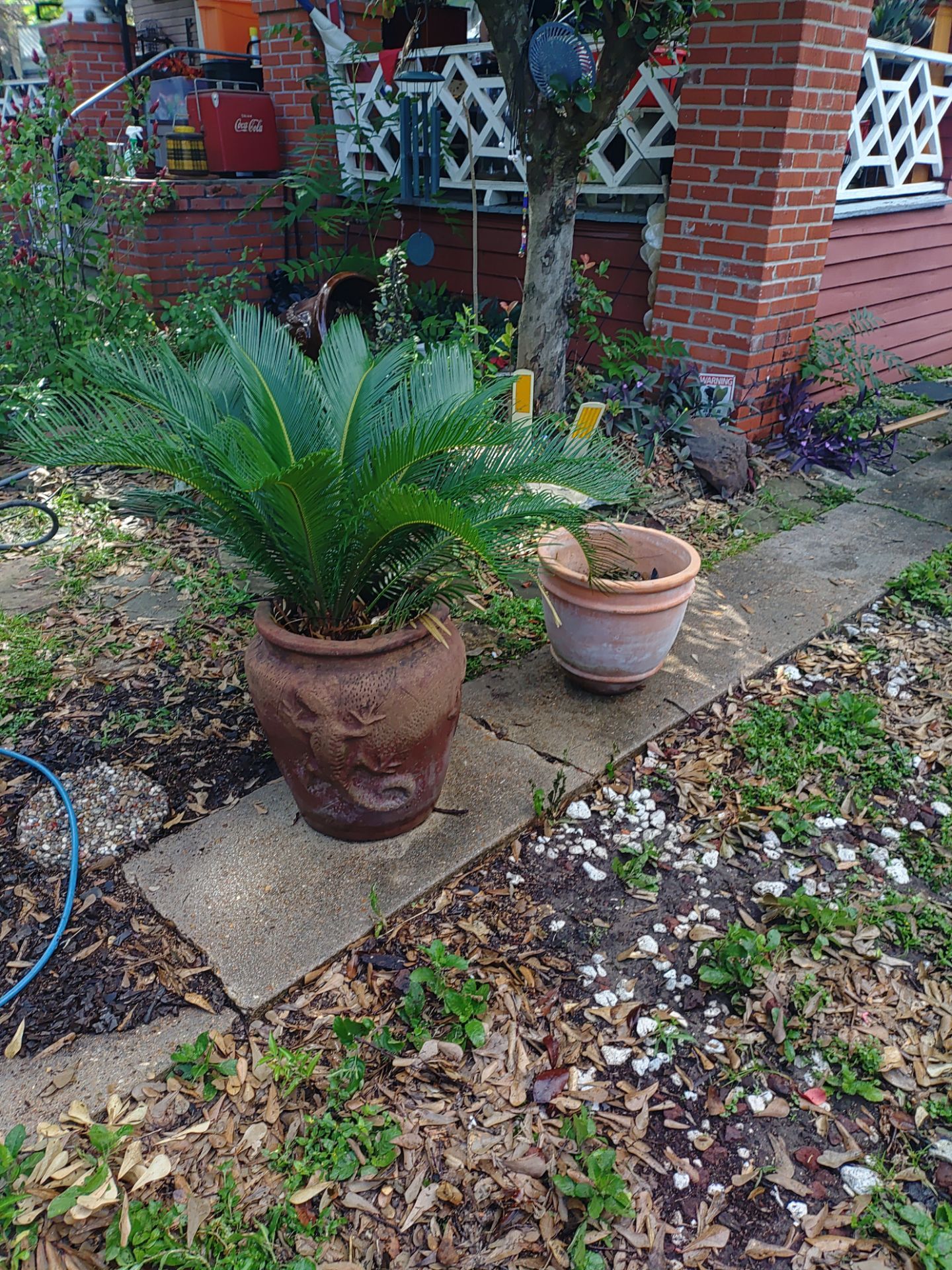 Gardening
