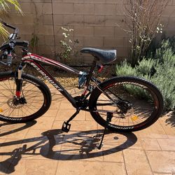 Boys 21 speed mountain bike - Eurobike X1