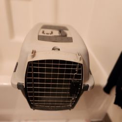 Pet Taxi Carrier