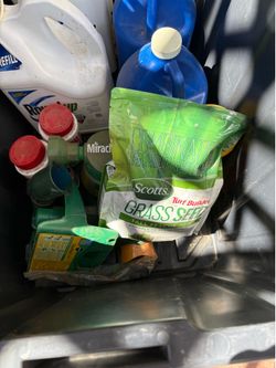 Grass seed and more
