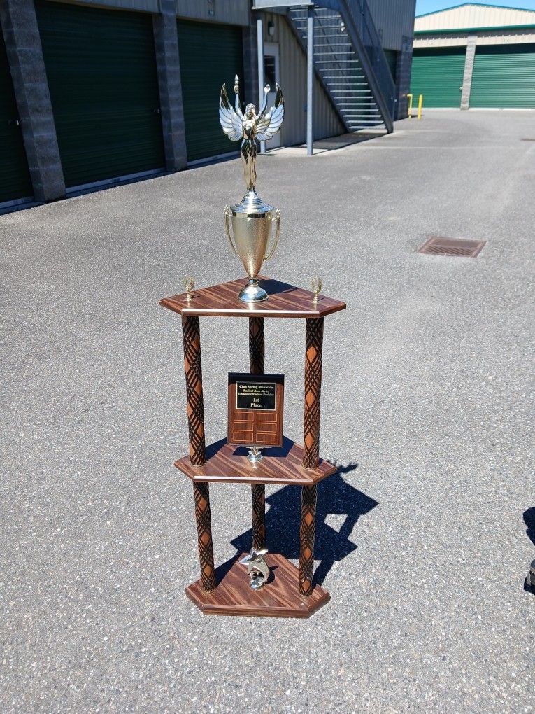 Nice Trophy Shelf