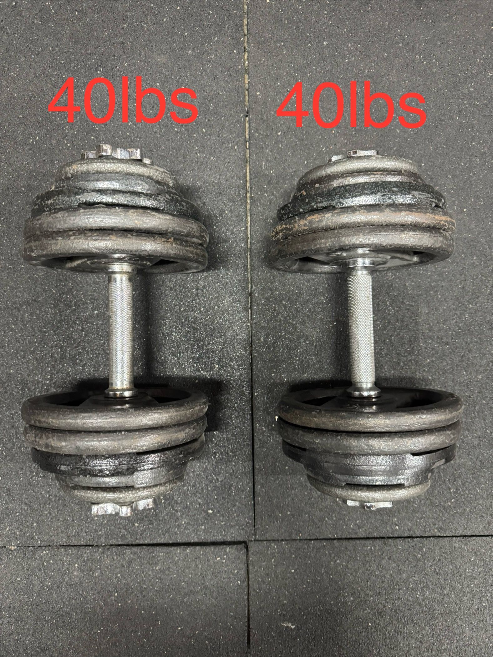 40 Pound Dumbbells