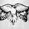 Jay