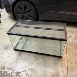 Fish Tank